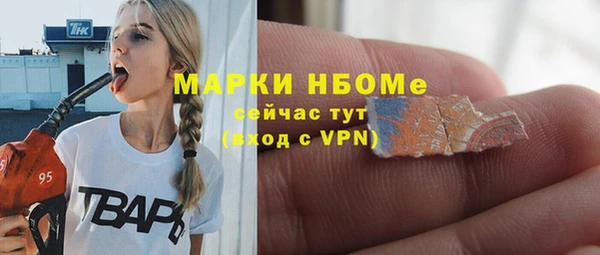 apvp Алзамай
