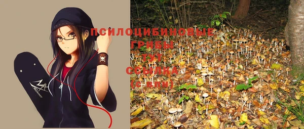 кокс Алексеевка