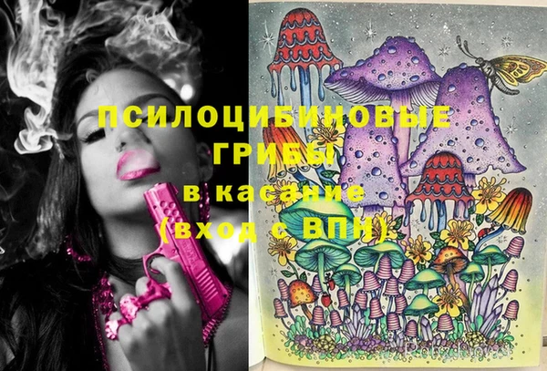 соль ск Алексин